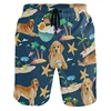 Animal Dog Flamingo Duck 3D Print Beach Shorts Men Kids Summer Swim Trunks Quick Dry Surf Board Shorts Street Short Pants 3