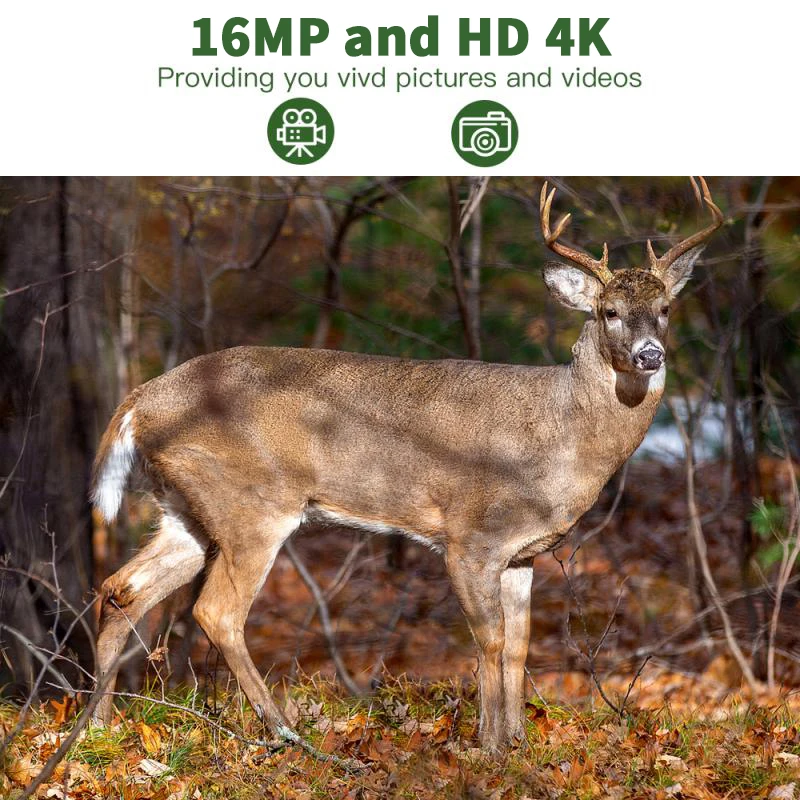 4K Wireless Trail Camera Hunting Cameras Ultra HD Waterproof Hunting Scouting Game Night Vision Surveillance Trap Camera