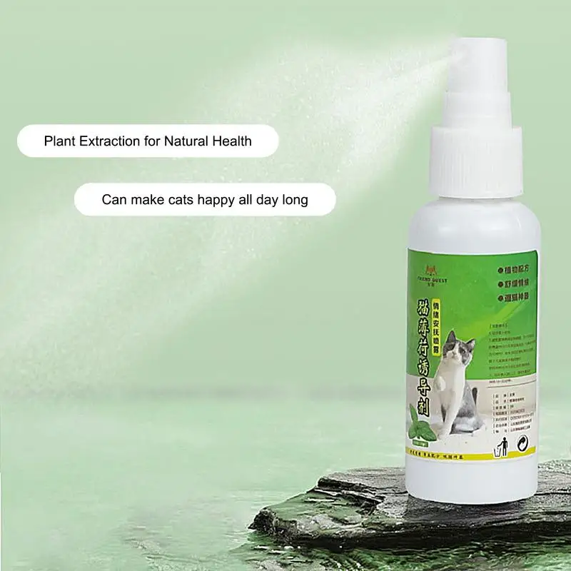 Cat Catnip Spray 50ml Healthy Ingredients Catnip Spray for Kittens Cats Attractant Easy To Use Safe for Pets Gifts Pets