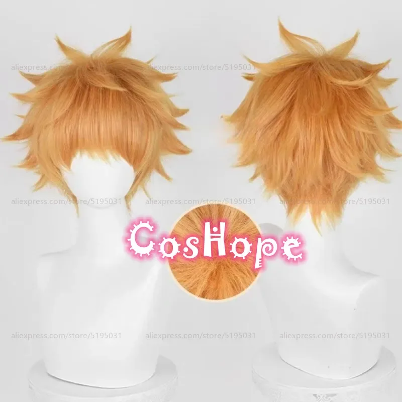 

Kunigami Rensuke Cosplay Wig 30cm Short Orange Wig Cosplay Anime Cosplay Wigs Heat Resistant Synthetic Wigs