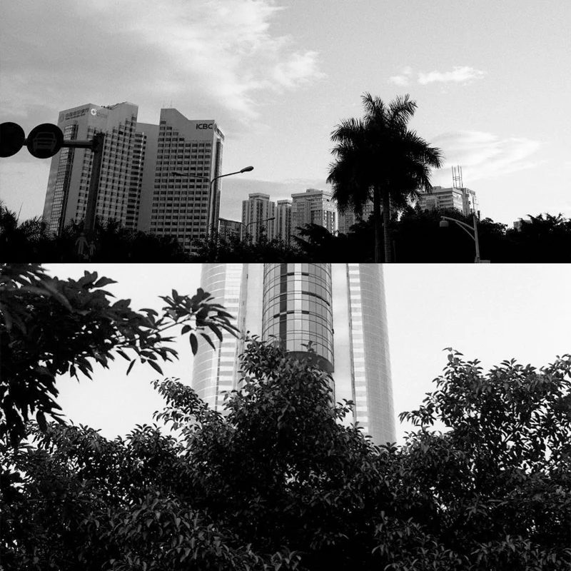 1/3/5/10 Rolls AGFA APX 400 135mm Black and White Professional ISO 400 Film 36 Exposure Per Roll (Expiration Date: January 2026)