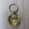 Insect Resin Keychain Specimen Crab Spider Scorpion Golden Turtle Wasp Spade Beetle Red Bean Ant Key Chain Decoration 5