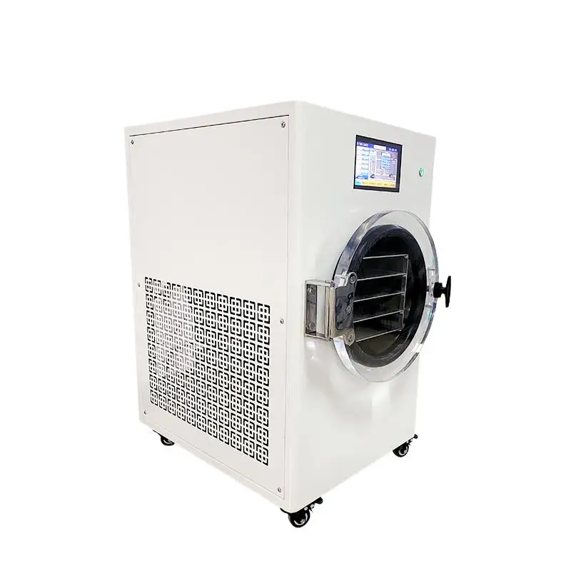 Mushroom Fruit Vacuum Freeze Dryer Dehydrator Liofilizador Machine Freeze Dried Candy Skittles Food Sweets Strawberries 5
