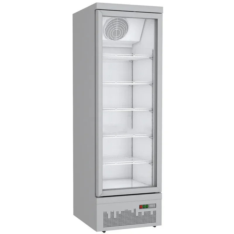 Commercial Glass Door Upright Freezer Refrigerator for Household Hotel Use Beverage Showcase Cooler Display Small Frozen Cabinet