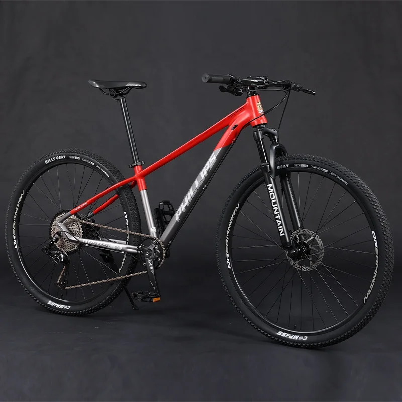 PHILLIPS Discount Aluminum Mtb Bike 29 Inch Family Portable