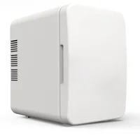Réfrigérateur double usage 6L DC12V/110-220V, réfrigérateur de bureau réfrigérant et refroidissant pour cosmétiques, soins de la peau 1