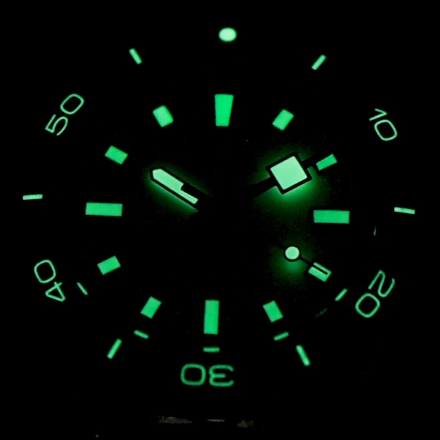 시간을 우아하게 파악하는 DUKA 기계식 자동 시계