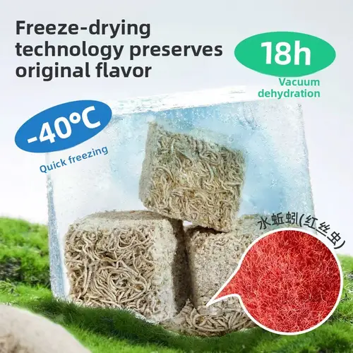 DONGYUJIANG Clean Water Fish Food Sticks|High Protein Freeze-Dried Bloodworms for Guppies&Tropical Fish|Slow Sinking&No Residue - Image 3