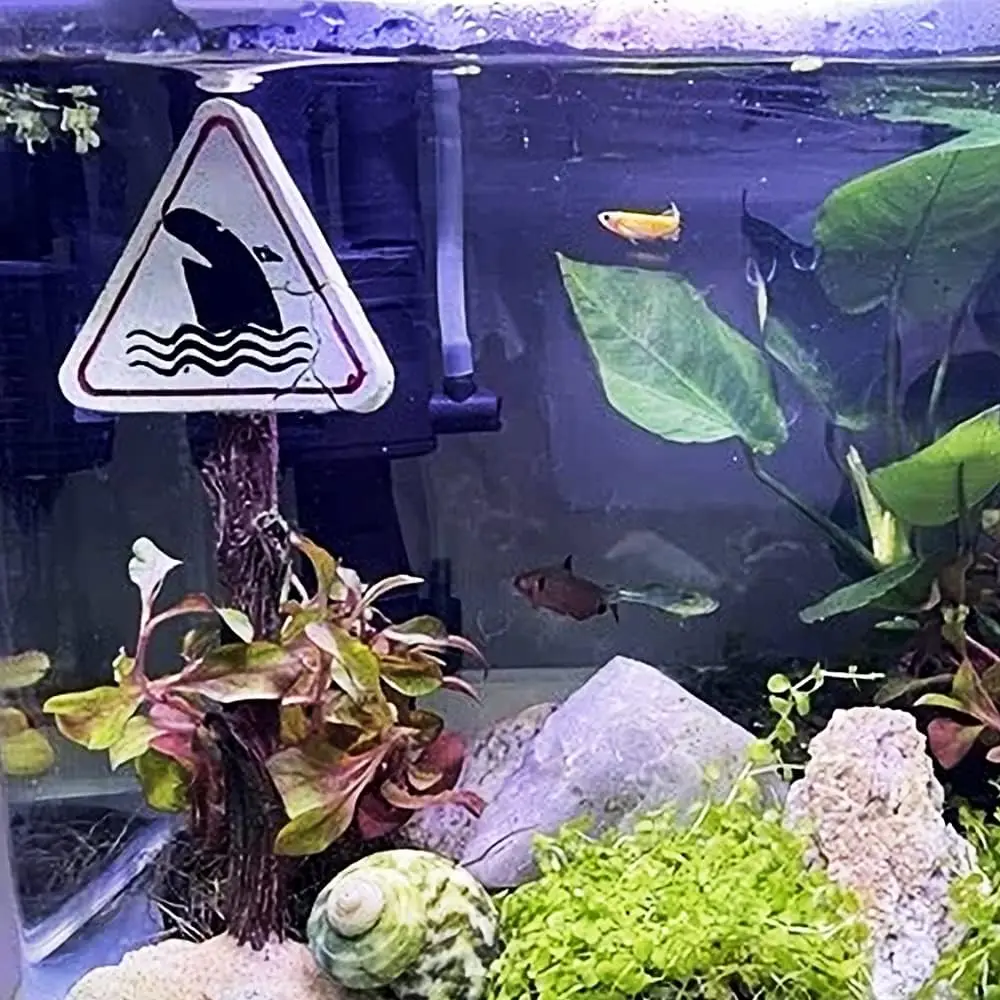 Creative Resin Fish Tank Decoration Artificial Shark Warning Sign Landscaping Accessories Aquarium Background Ornaments