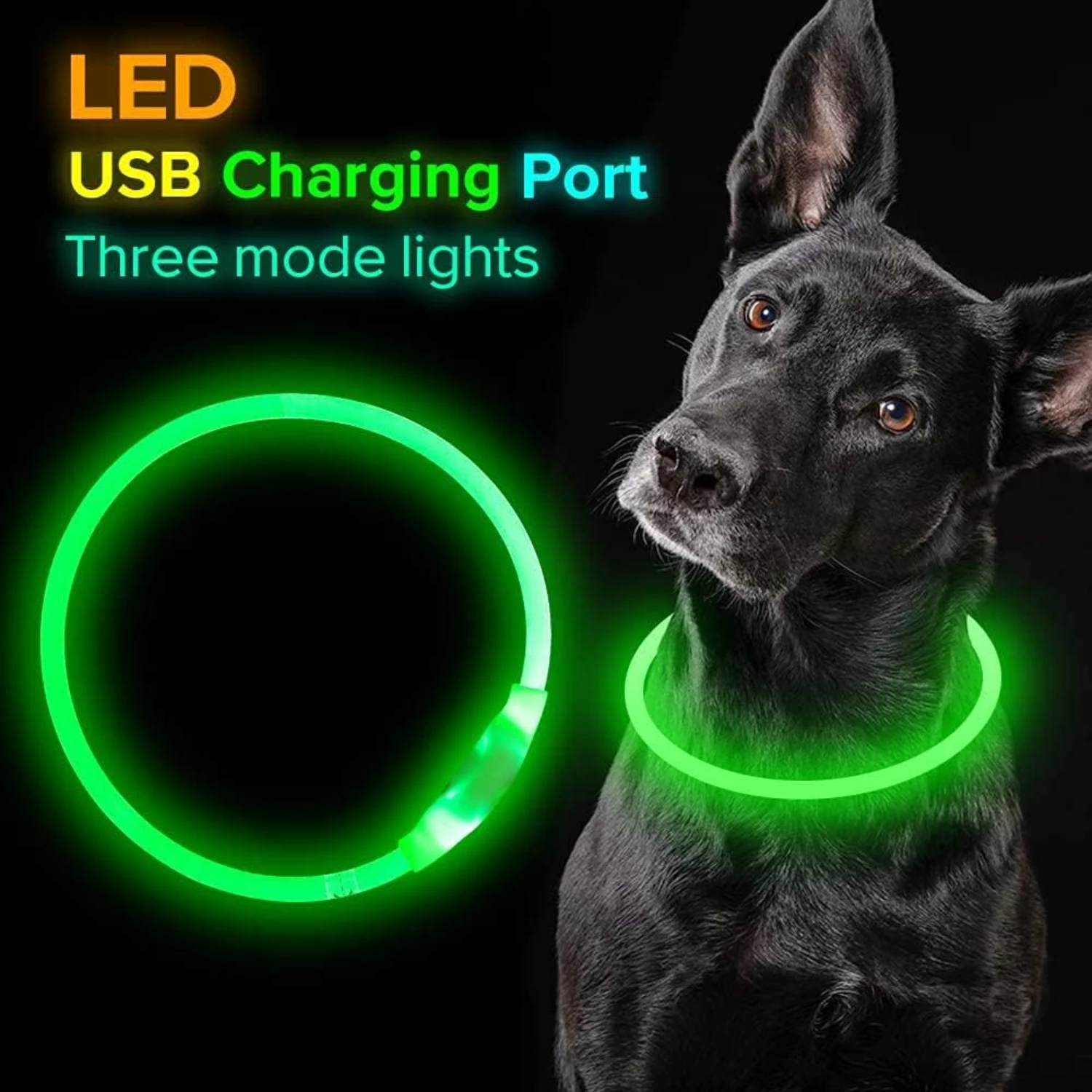 LISM LED Dog Collar - Image 5