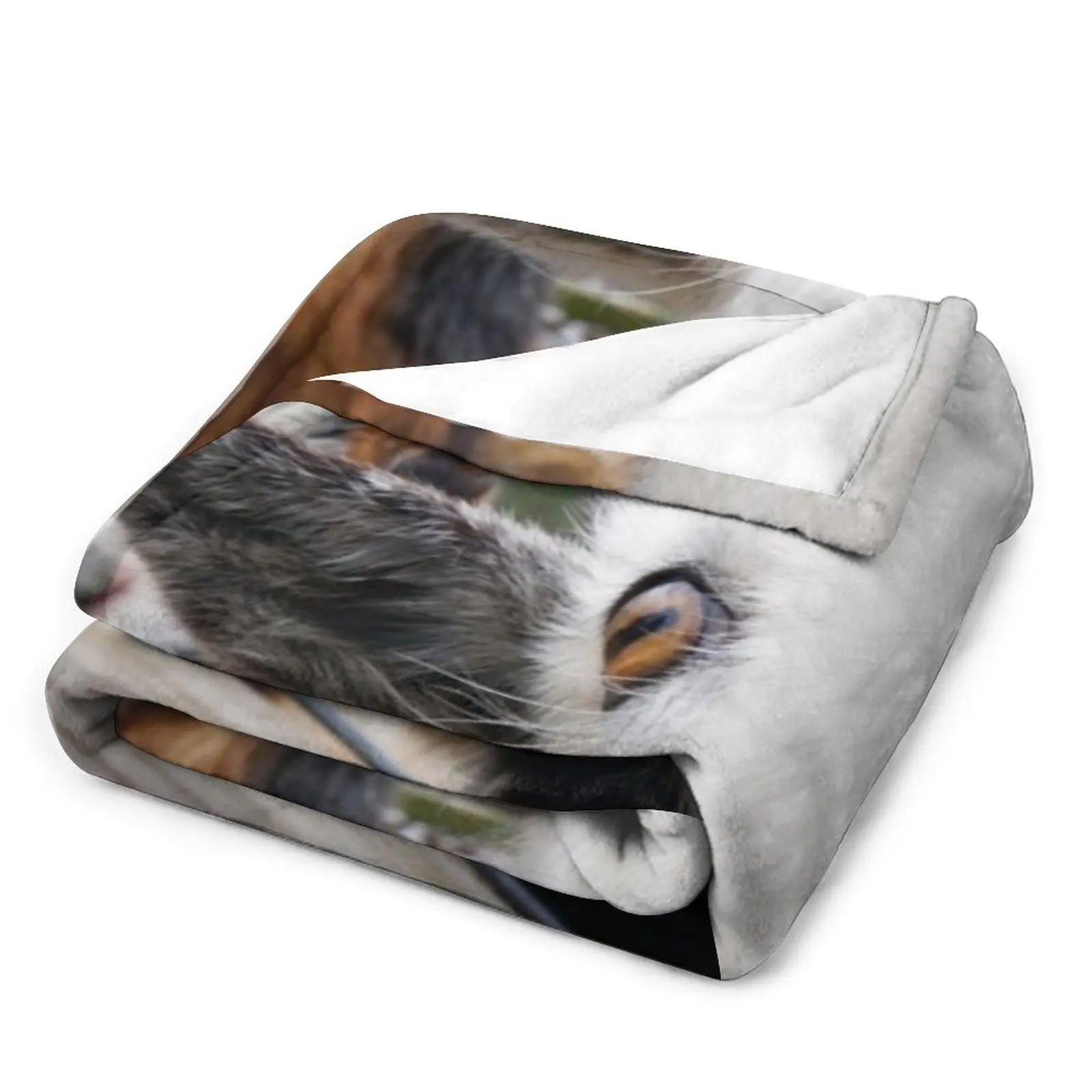 ���� ������ ���, ���� ħ�� ���, ǫ���� ���, ���� ���� ���, ������ ����