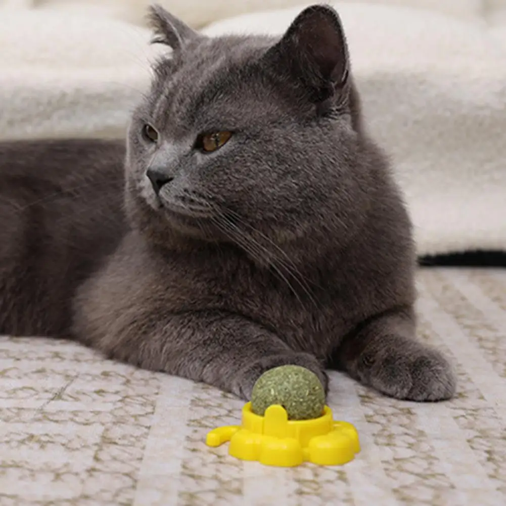Pet-Safe Cat Toys Catnip Cat Toys Girevole Catnip Wall Ball Toy Per Gatti Con Denti Nutrizione Sana Leccata A 360 ° Per Felina