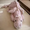 1PC Crouching Dinosaur Doll Crouching Little Flying Dragon Plush Toy, Soft Sleeping Pillow, Long Strip Pillow, Girl Pillow, Doll 4