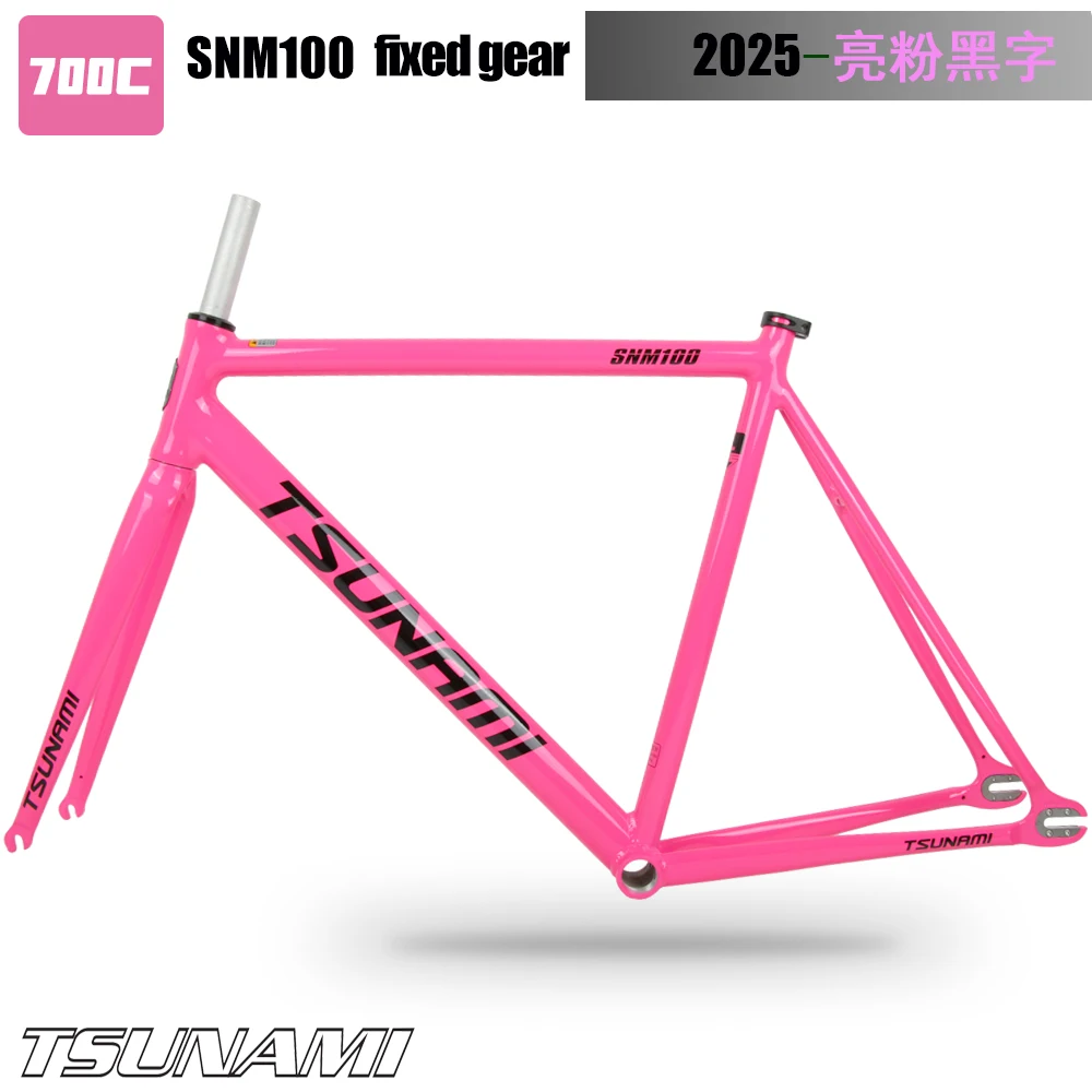 スリラム15 （2025） Zekrom ex 169/086 SAR Black Bolt Pokemon Card Japanese 2025