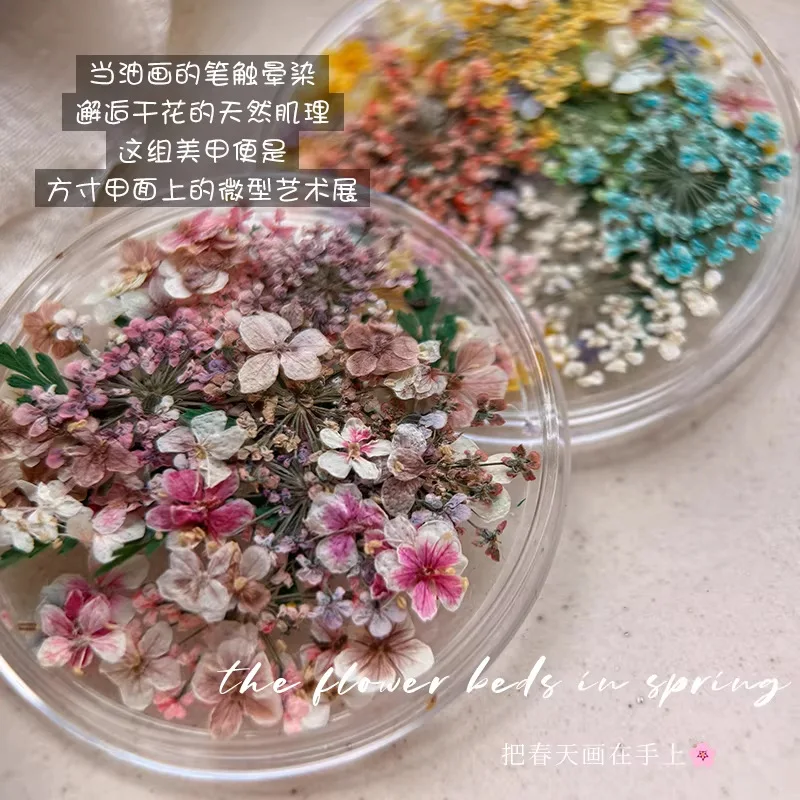 1박스 미니 드라이 컬러풀 리얼 플라워 네일 아트 데칼 3D 컬러 프레스드 드라이 플라워 DIY 공예 용품 네일 아트 데코레이션