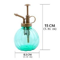 1pc Plant Flower Glass Garden Watering Pot Mister 300ml Water Cans Sprayer Bottle Spray Irrigation Supplies Hairdressing Tool 5