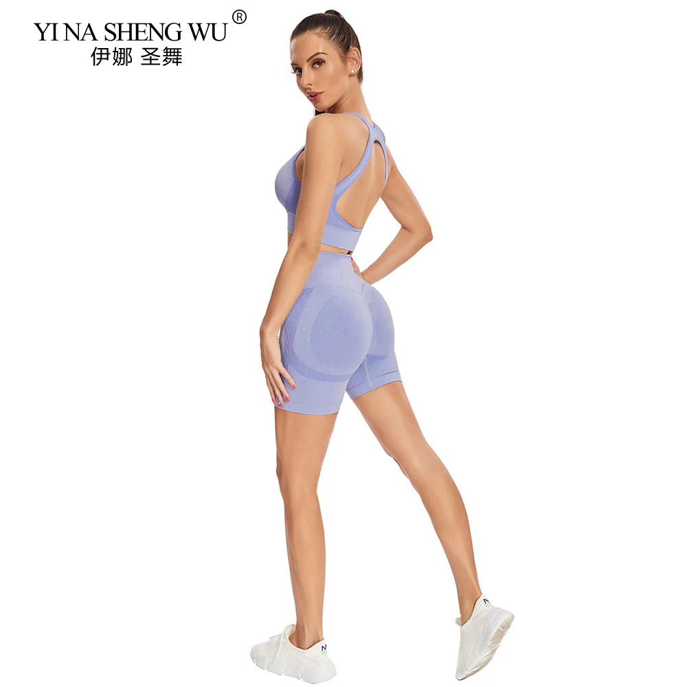 Seamless Yoga Set Women Gym Set Sport Suit Women Sportswear Two