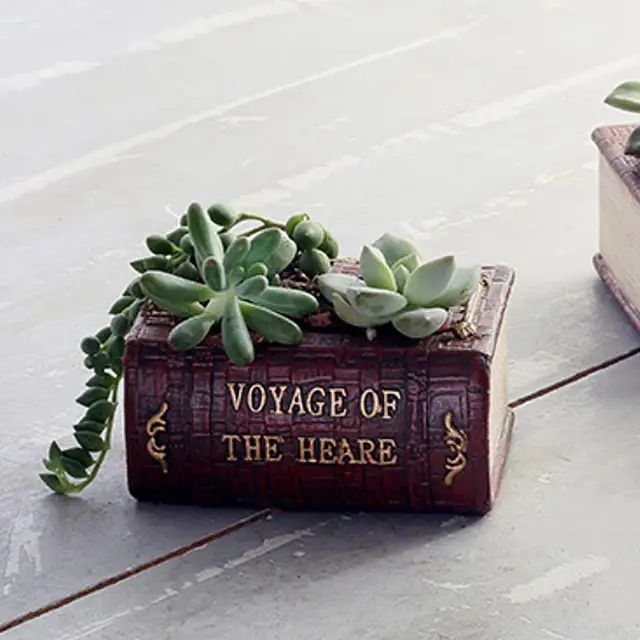 Stylish and functional Succulent Pots Plant Pots for indoor decor