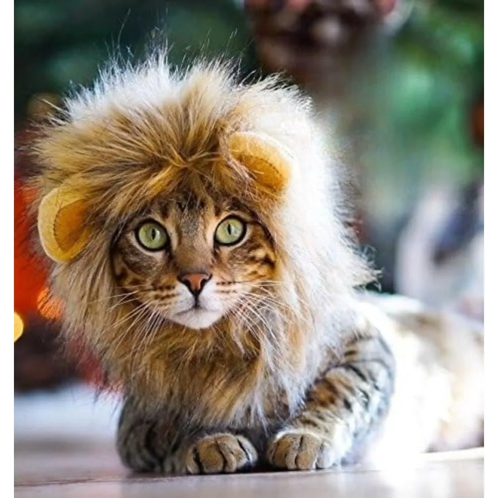 Lion Mane Pet Costume 2