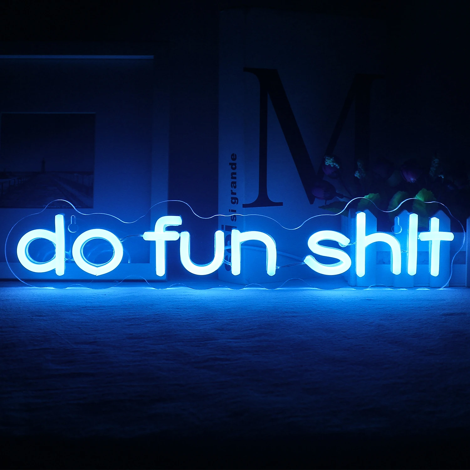 

Do Fun Shit Neon Sign Letter LED Neon Light Fun Words Light Sign for Bedroom Game Room Club Bar Kid Room Wedding Party Christmas