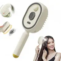 Electric Steam Hair Brush with Water Spray Reduce Frizz Anti-Static Misting Hairbrush Portable Travel Cordless Fluffy Hair Detan 4