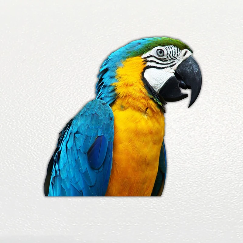 

Car Sticker Parrot Pet Waterproof Vinyl Decal Car Accessories Pegatinas Para Coche DIY Car Styling 10cm*10cm