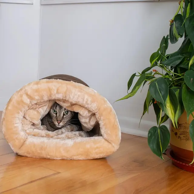 Autumn Winter Cat Sleeping Bag 5