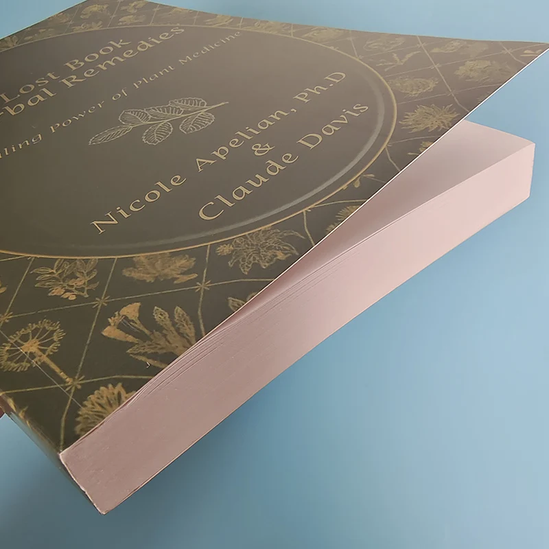 Рисунок 5 - Книга на английском языке о потерянных