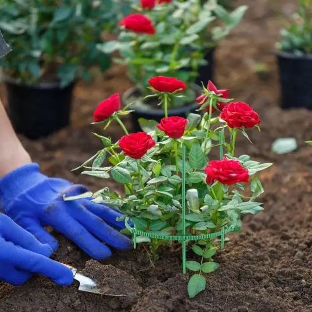 Orchard Kerti Növényi Tartó Téthalom Keret Műanyag Virágállvány Rögzítő Rúd Bonsai Szerszám Üvegházak Paradicsom Bazsarózsa - Image 2