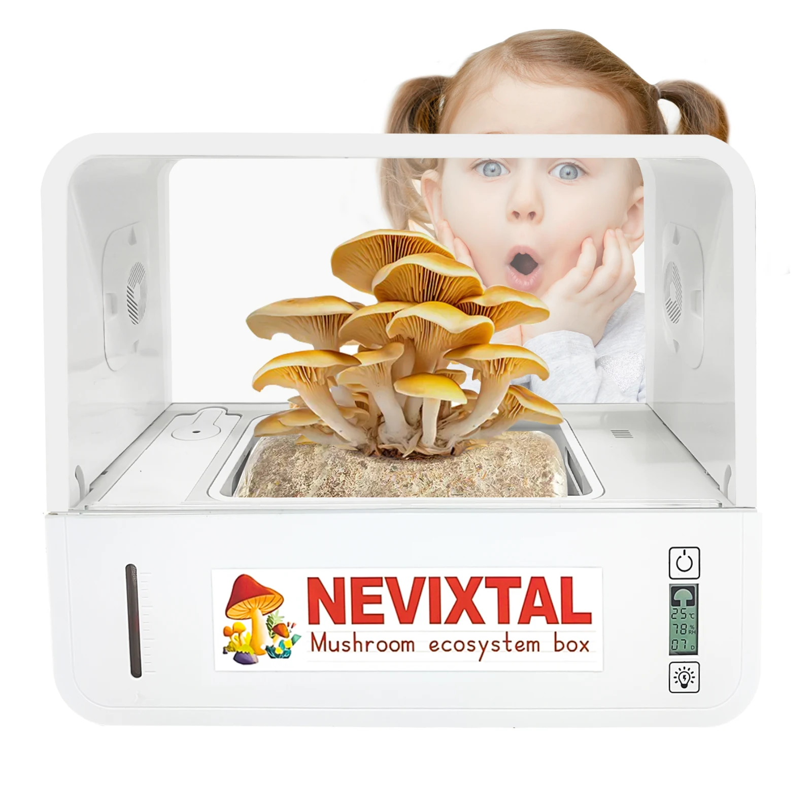 Smart Mushroom Growing Tent Still Air Box Mushroom Cultivation Ecosystem Box Comes with a Humidity Gauge and Light