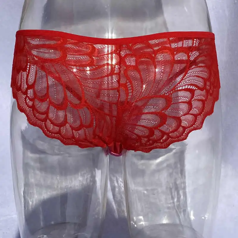 Camel Toe Control Panty Lace Hiding Gaff Underwear Crossdresser Transgender See Through Briefs Drag Queen Shemale Panties