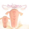 Real Vagina Masturbation Male Uterus Device Masturbation Cup Simulation Design Pocket Pussy Breast Ball Adult Sex Toys for Man 1
