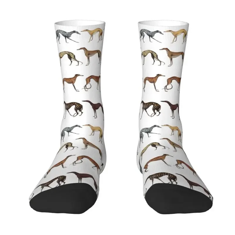 

Cute Whippet Sighthound Dog Dress Socks Mens Womens Warm Fashion Greyhound Hound Crew Socks
