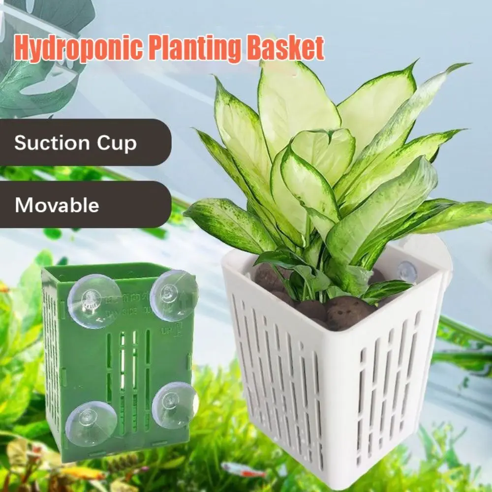 Plastic Aquarium Plant Holder Suction Cup for Fish Tank Decoration