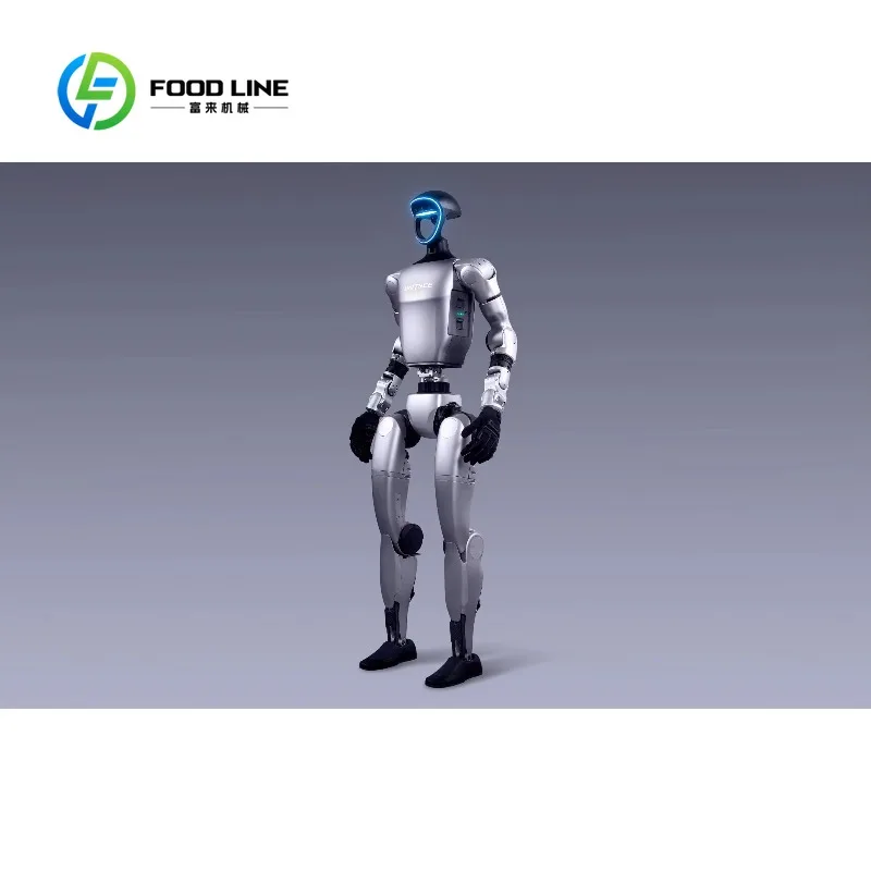 Robot Umanoide Bipede Personalizzato con Controllo Avanzato del Movimento per Applicazioni di Boxe e Intrattenimento Interattivo - immagine 2