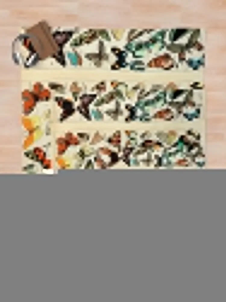 Papillon I ��Ƽ�� ������ ���� ��Ʈ, Adolphe Millot ������ ���, ���� ������ ǫ���� ���� �غ� ���