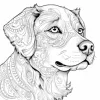 Mandala Dog Art Coloring Book 20 Page For Birthday Party Relieve Stress Kill Time Graffiti Painting Drawing Adult Picture Books 6