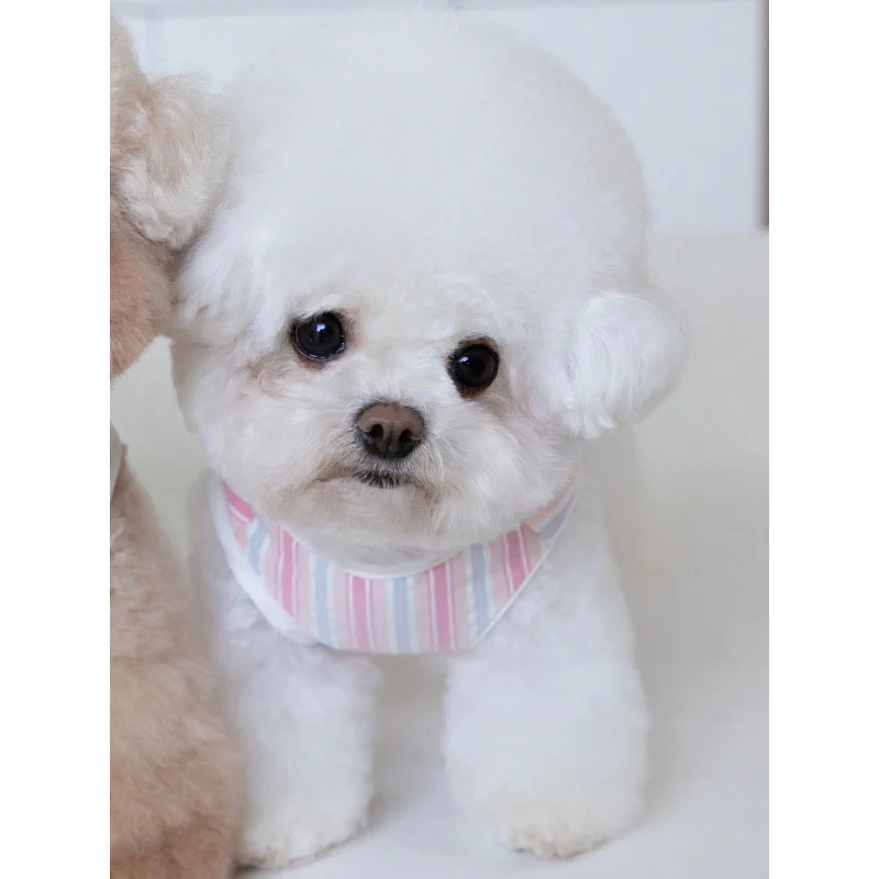 패션 줄무늬 애완견 고양이 조끼 통기성 경량 애완 동물 셔츠 작은 중형 애완 동물을위한 귀여운 다채로운 개 옷 의류