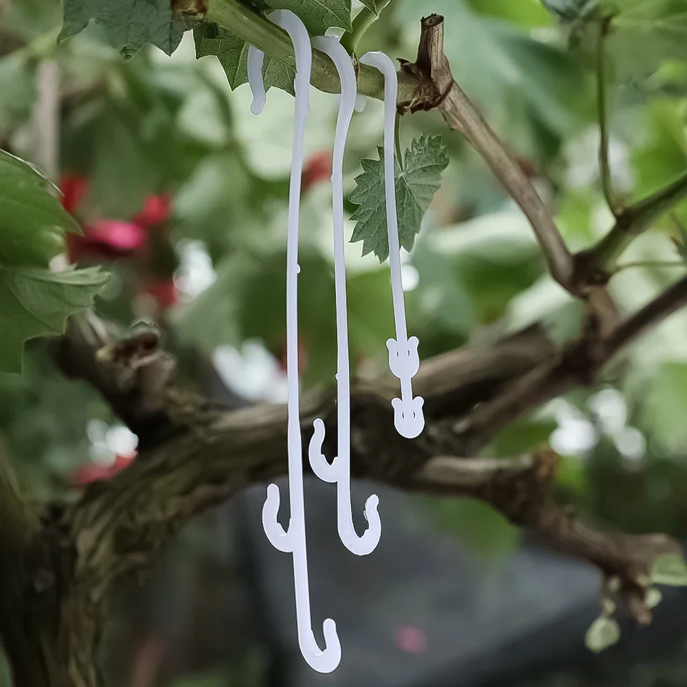 Clip Per Piante - 100 Pezzi In 2 Misure, Verde, Per Pomodori, Cetrioli