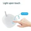 LED Reading Desk Lamp Portable Desk Lamp USB Charging Table Light Touch Dimming Learn Eye Protection Light Room Office Lighting 4