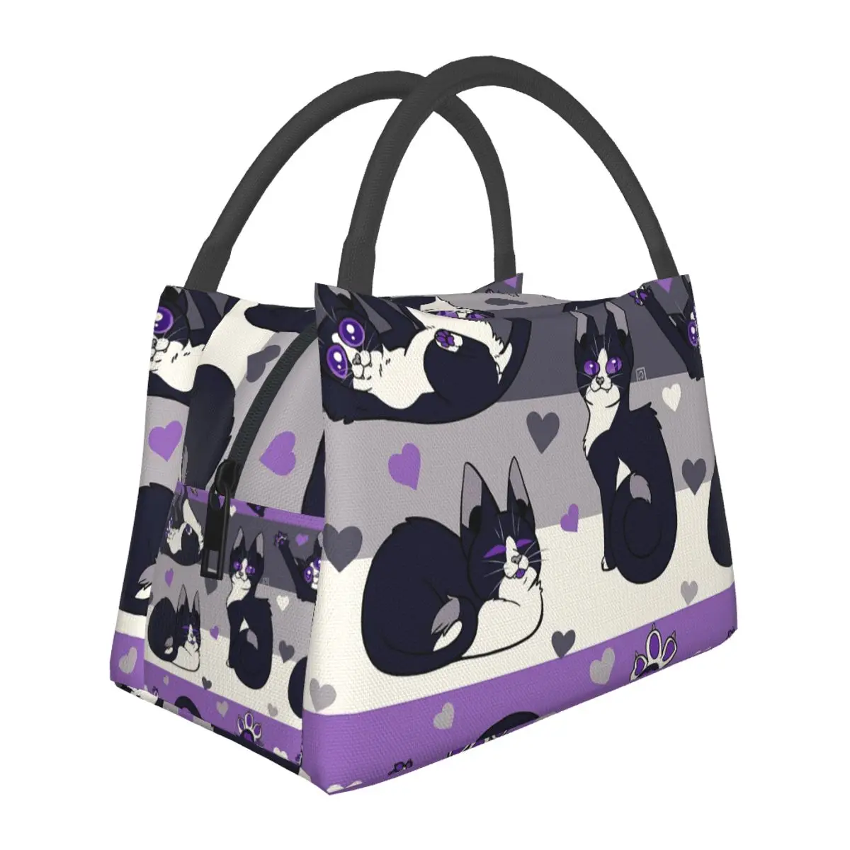 

Queer Kitties - Asexual Lunch Bags Insulated Bento Box Resuable Lunch Tote Picnic Bags Cooler Thermal Bag for Woman Children