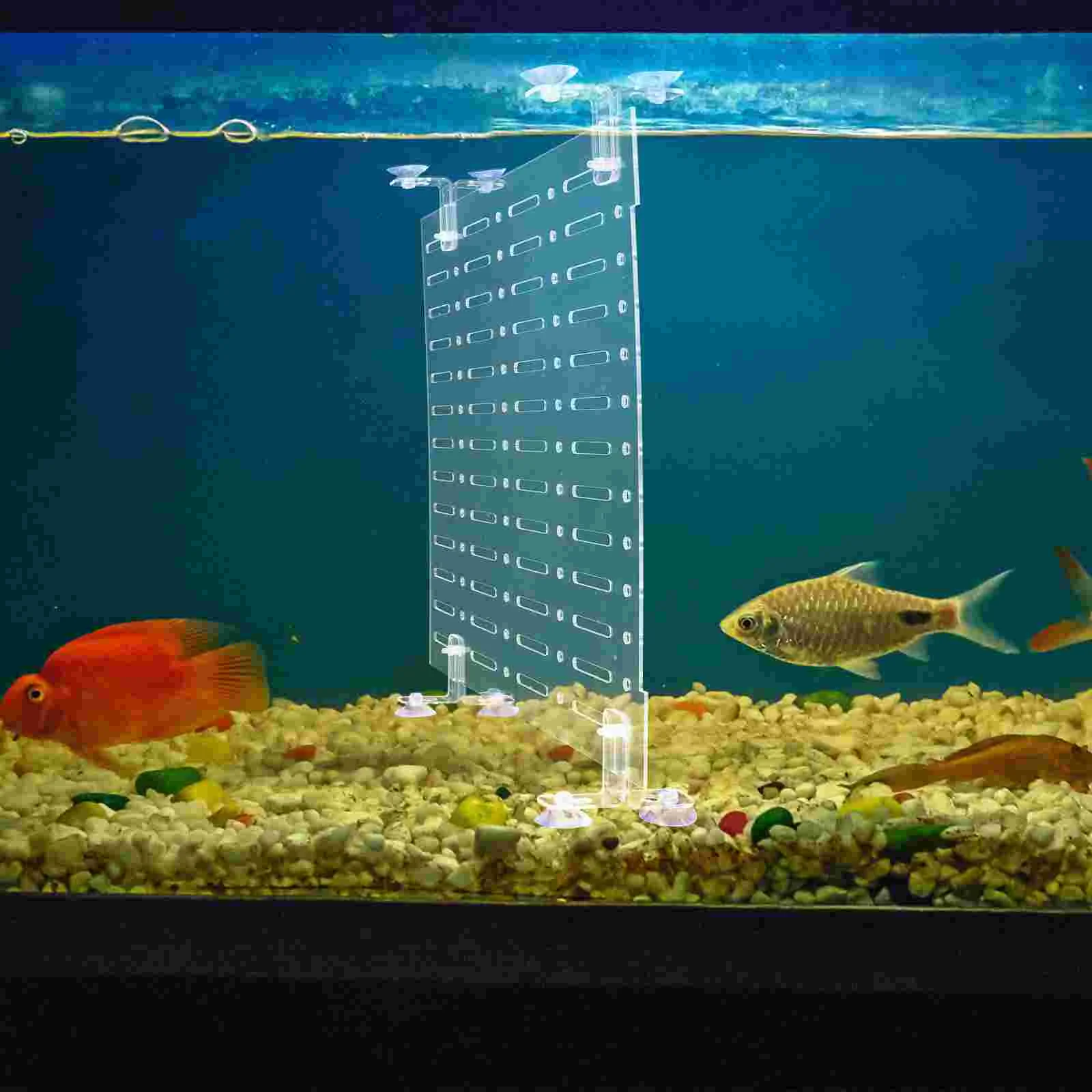 

1 Set Aquarium Fish Tank Acrylic Divider Isolation Board for Mixed Breeding