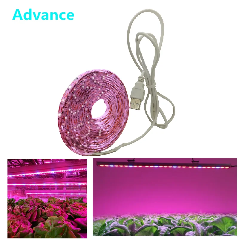 LED Grow Light Full Spectrum USB Grow Light Strip 0.5m 1m 2m 2835 Chip LED Phyto Lamp Plants Flowers Greenhouse Hydroponic