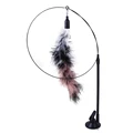 Gray tail