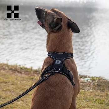 No-Pull Reflective Dog Harness 6
