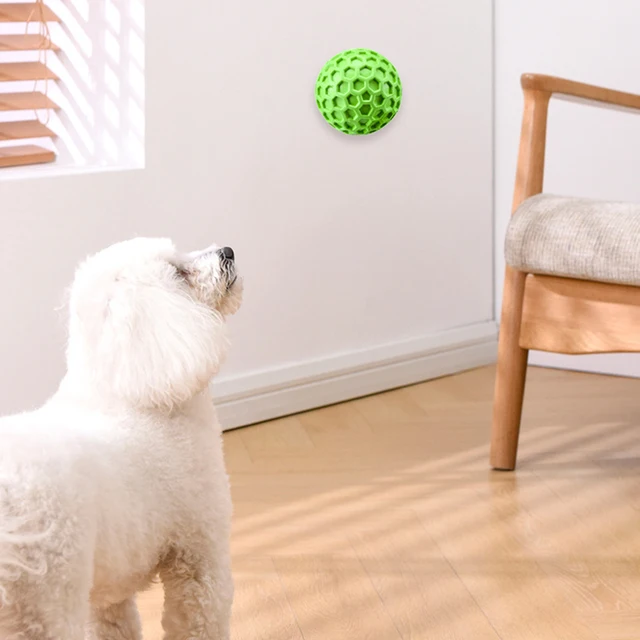 65mm New Dog Toys Bite Resistant Interactive Throwing Sound Honeycomb Balls Natural Rubber Teething Clean Teeth Pet Toys 6