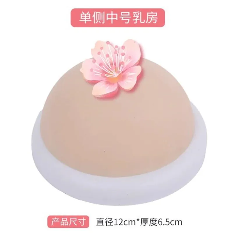 

Обучающие наборы для стимуляции груди, Обучающие инструменты для грудного вскармливания, модель детской грудной клетки