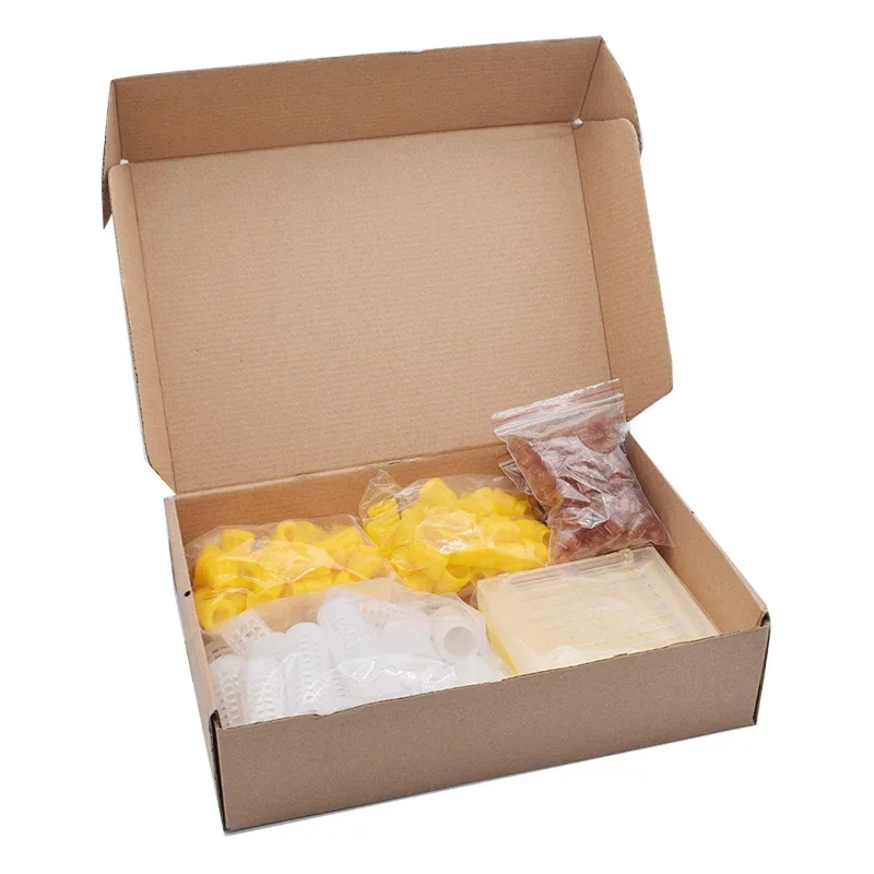 Germany Jenter Queen Rearing Kit Nicot Bee Incubator Queen Rearing Box Cage Bee Breeding Box Beekeeping Tools Equipment