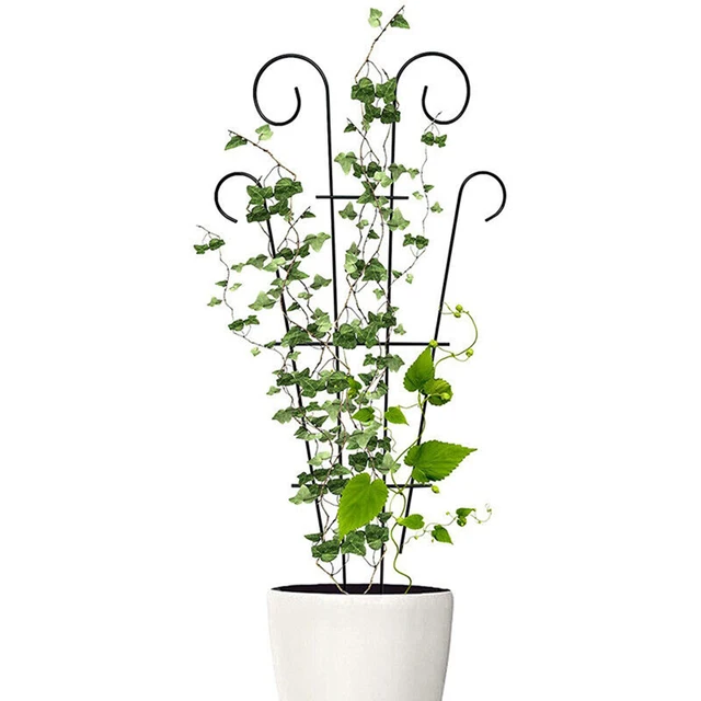 Stakes Plant Climbing Support Frame Trellis Flowers Stand Cage Tree Garden Plant Support Home Plant Care Soil Floral Arrangement 5