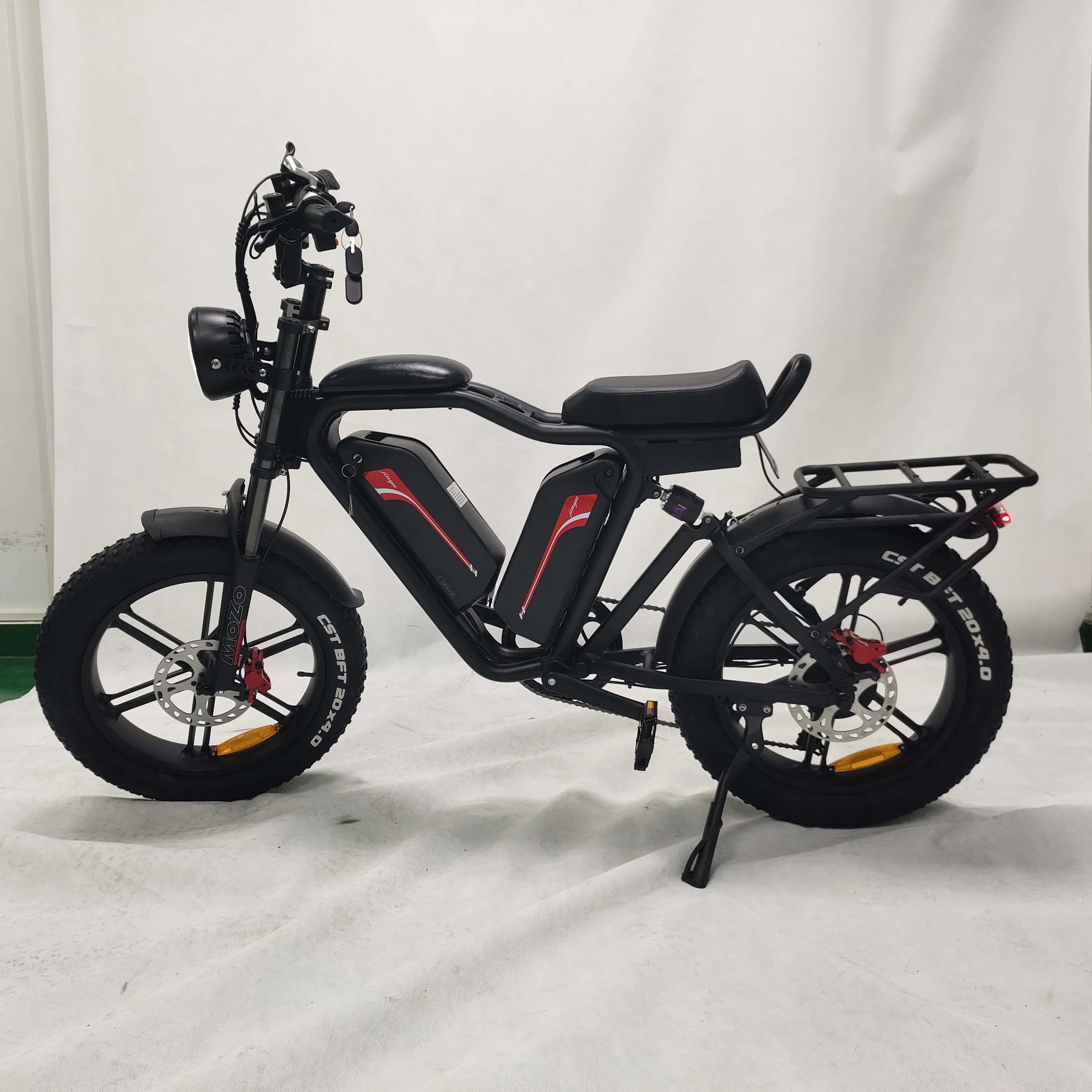 20inch 48v 22ah*2 Lithium Batteries 1000w Brushless Motor E Fat Tire Bike Ecycle Cargo Ebike Delivery Electric Bicycle
